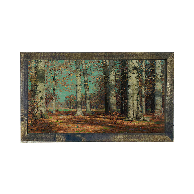 Sunny Autumn Birch Trees