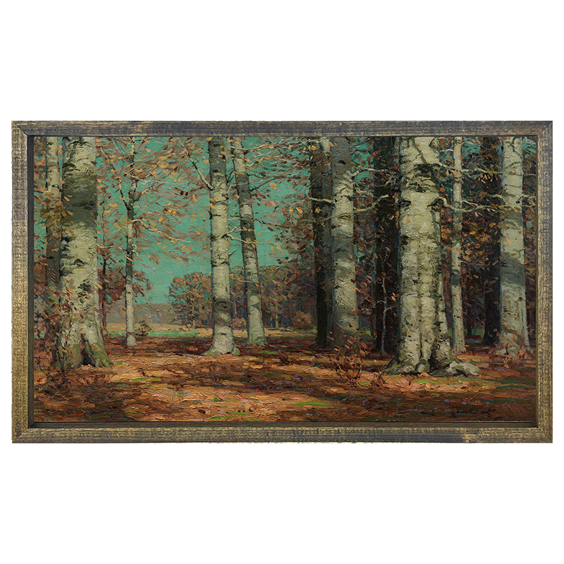 Sunny Autumn Birch Trees