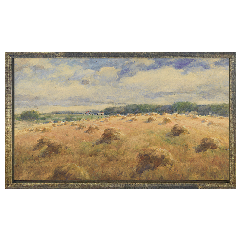 Hay Fields