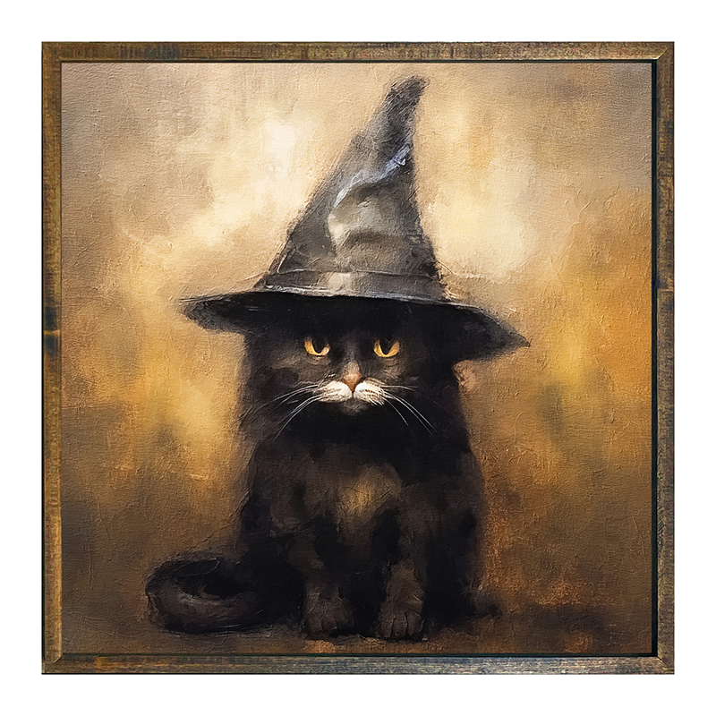 Cat with Witch hat