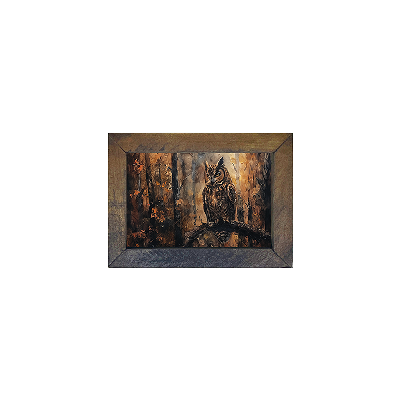 Rustic Owl - Horizontal Frame