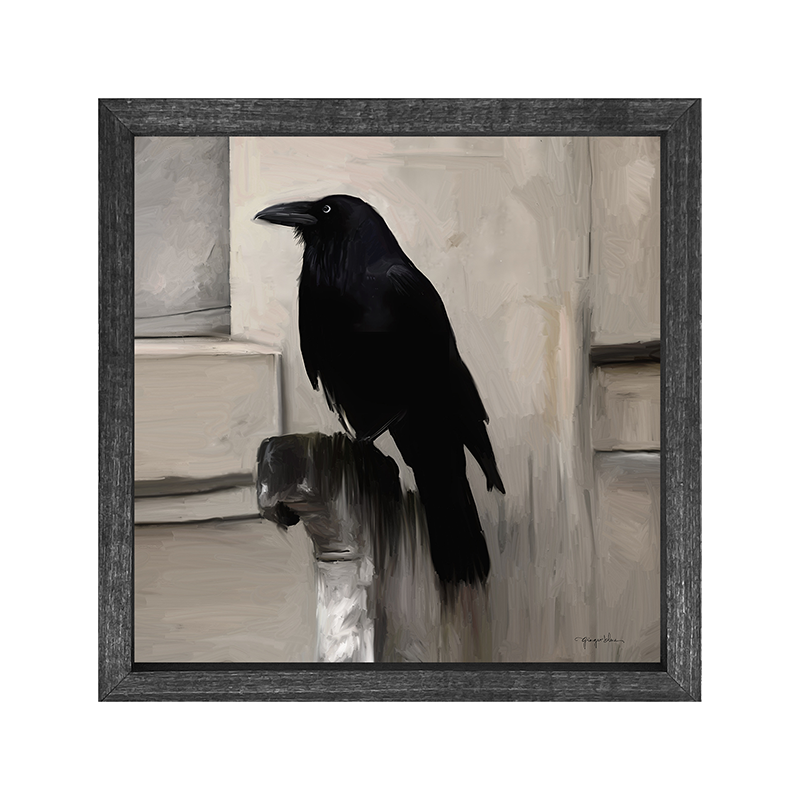 Perched Raven