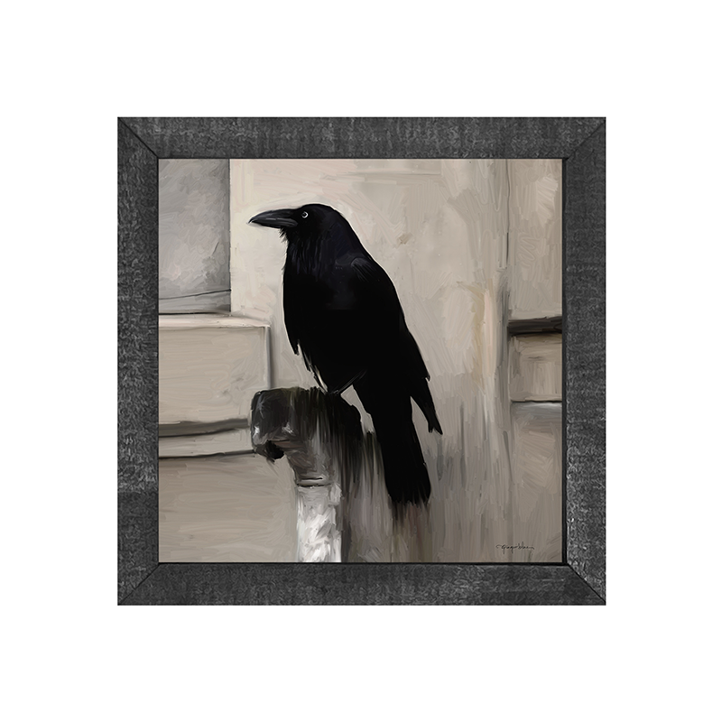 Perched Raven