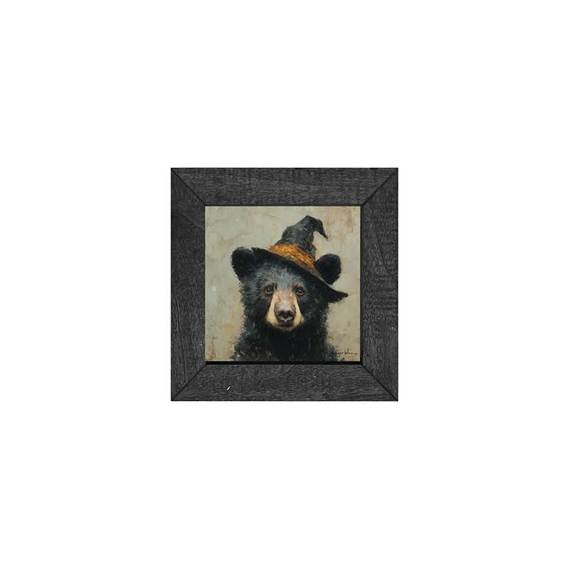 Witch Hat Black Bear