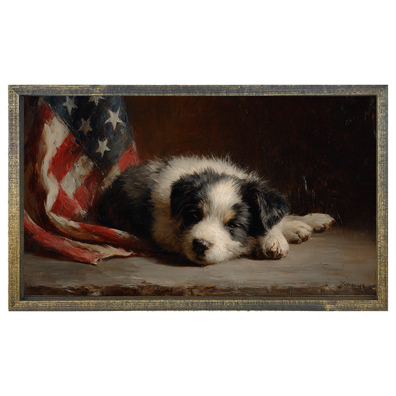 Black and White Dog Resting near Flag - Horizontal Frame
