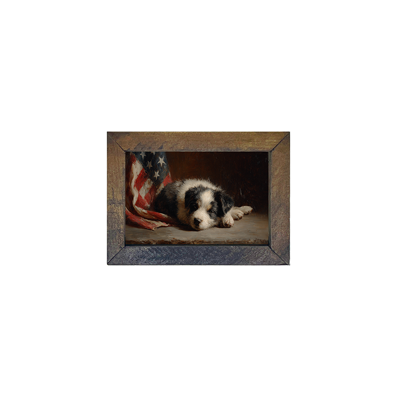 Black and White Dog Resting near Flag - Horizontal Frame