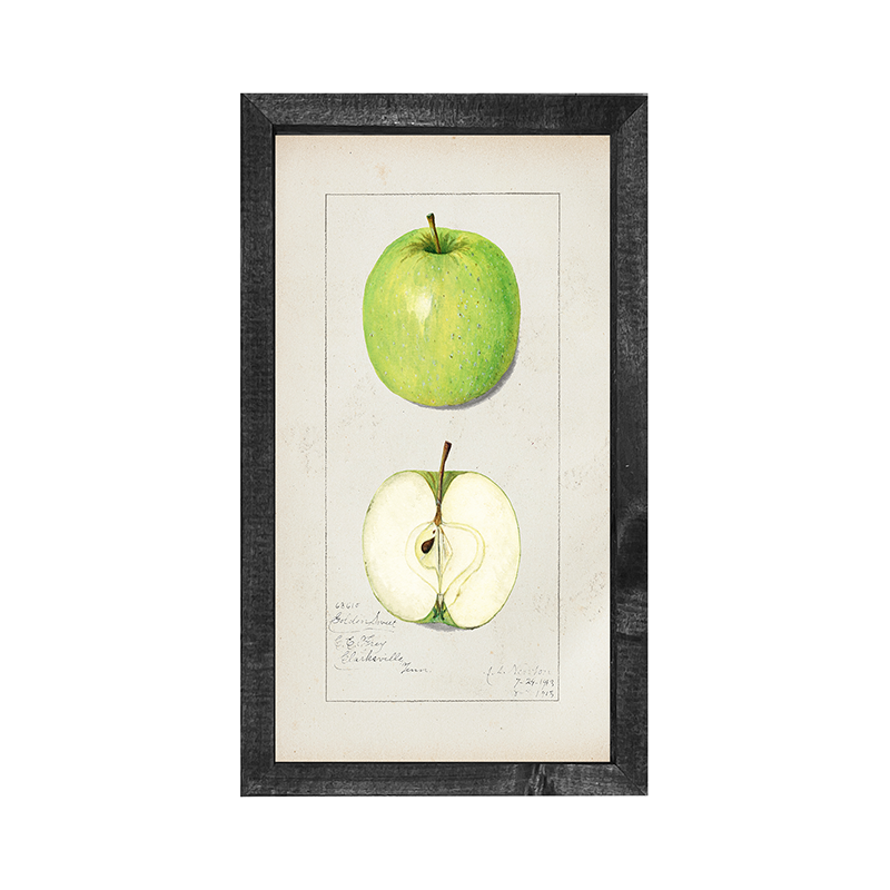 Vintage-Green Apple