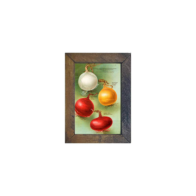 Vintage-Onions