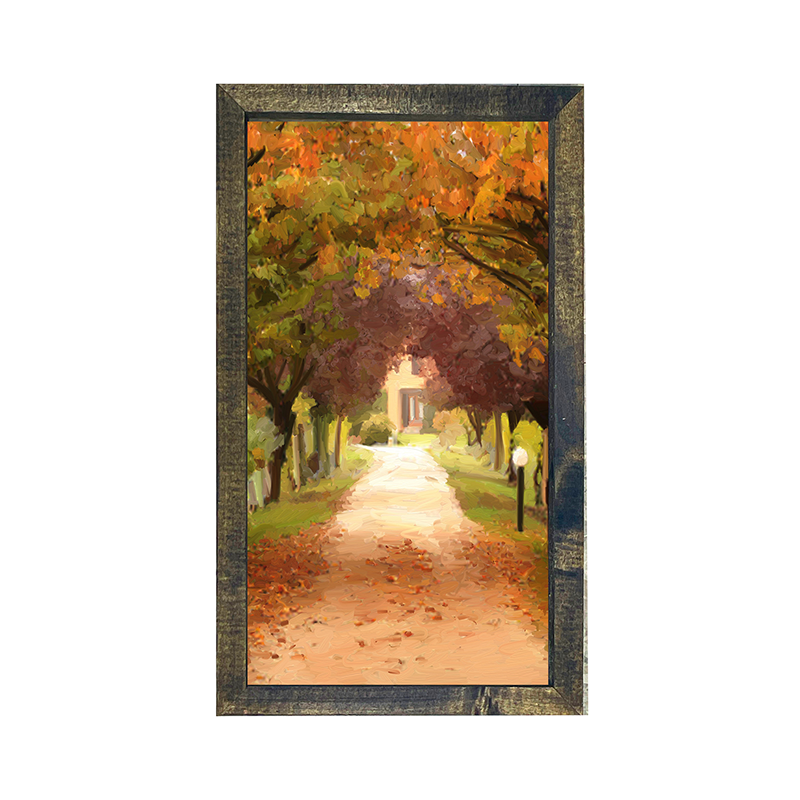 leaves on sidewalk