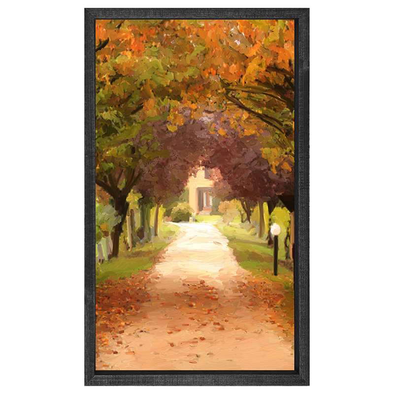 leaves on sidewalk