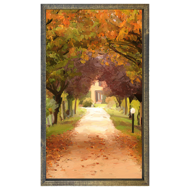 leaves on sidewalk