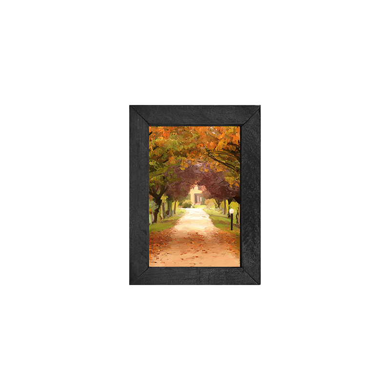 leaves on sidewalk