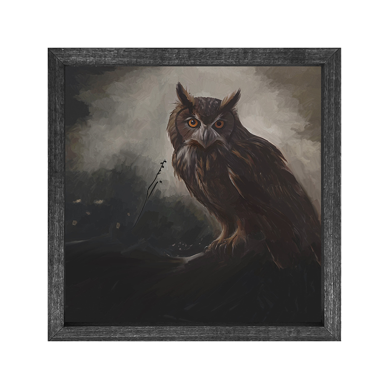 Night Owl