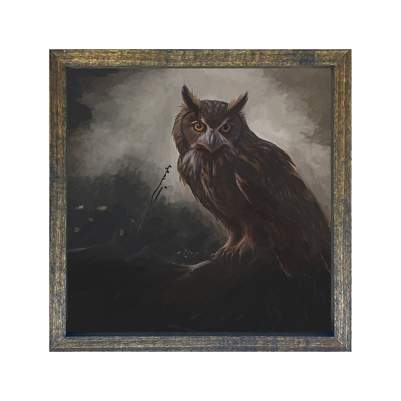 Night Owl