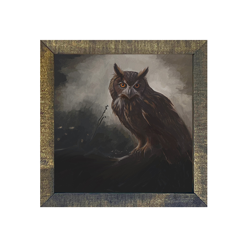 Night Owl