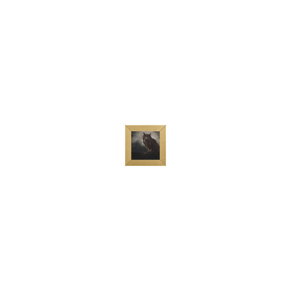 OW-114 in Metallic Gold Gallery Frame, M
