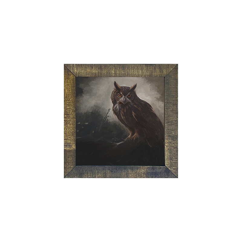 Night Owl