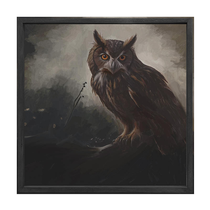 Night Owl