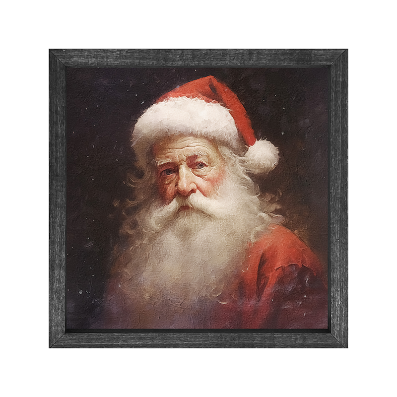 Santa portrait 6