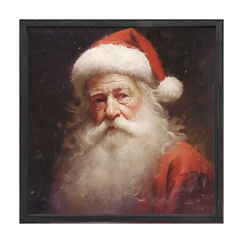 Santa portrait 6