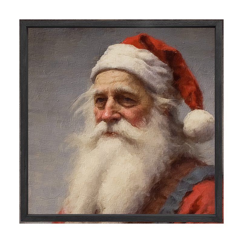Santa portrait 7