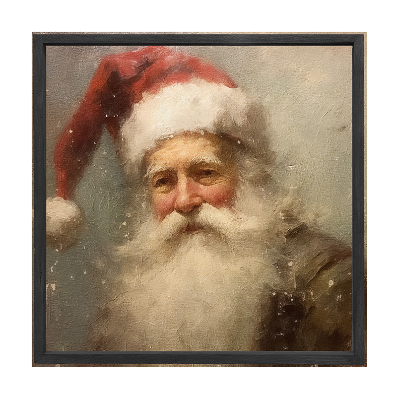 Santa portrait 10