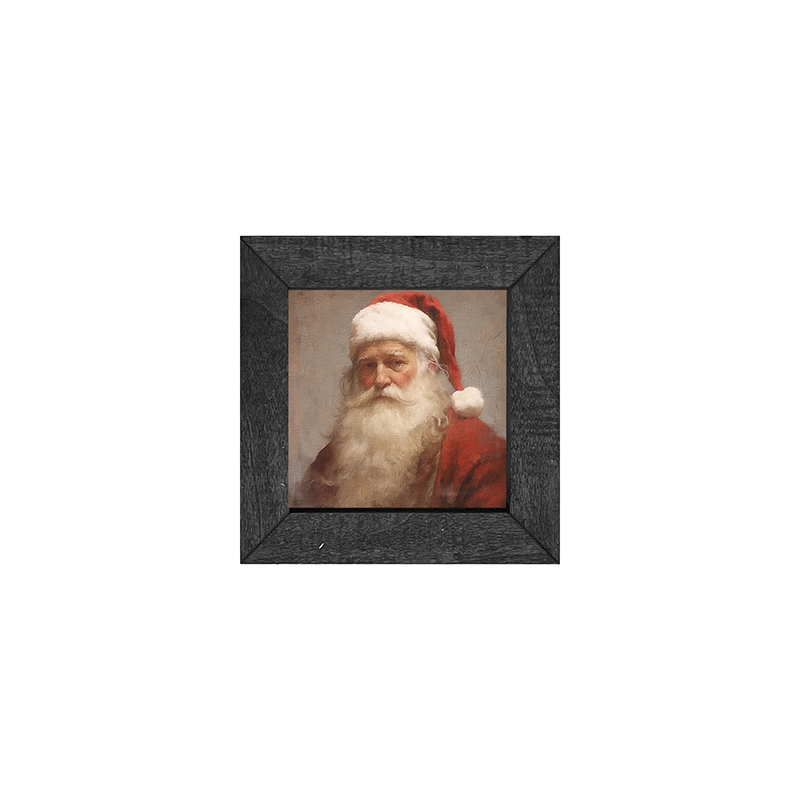 Santa portrait 11