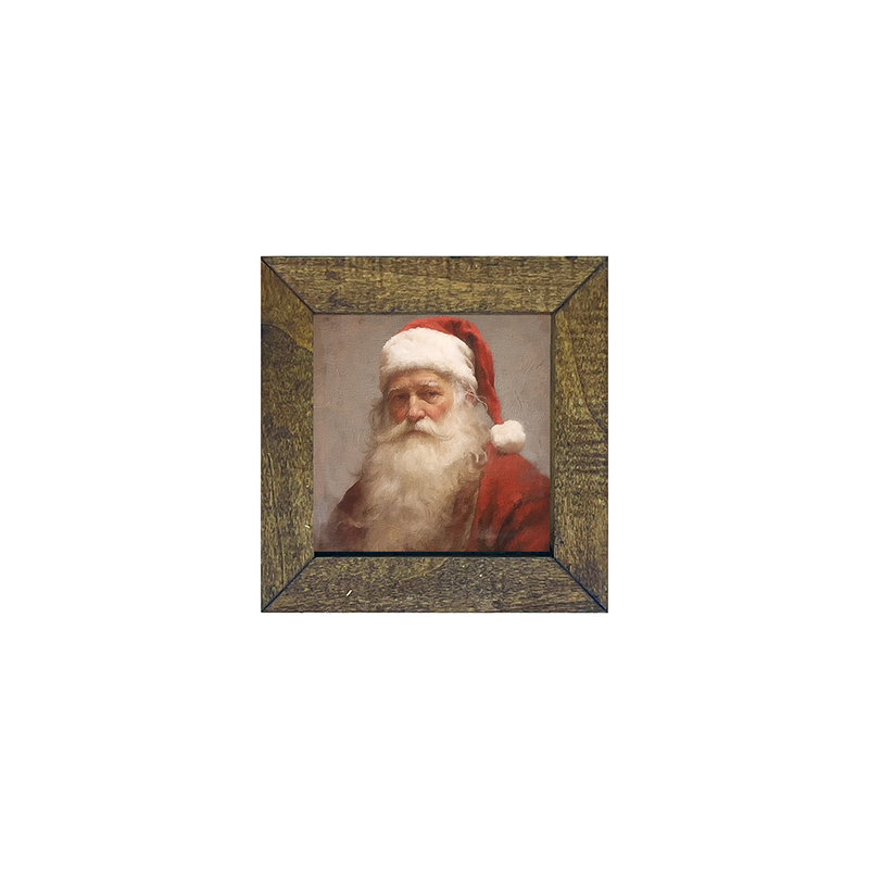 Santa portrait 11