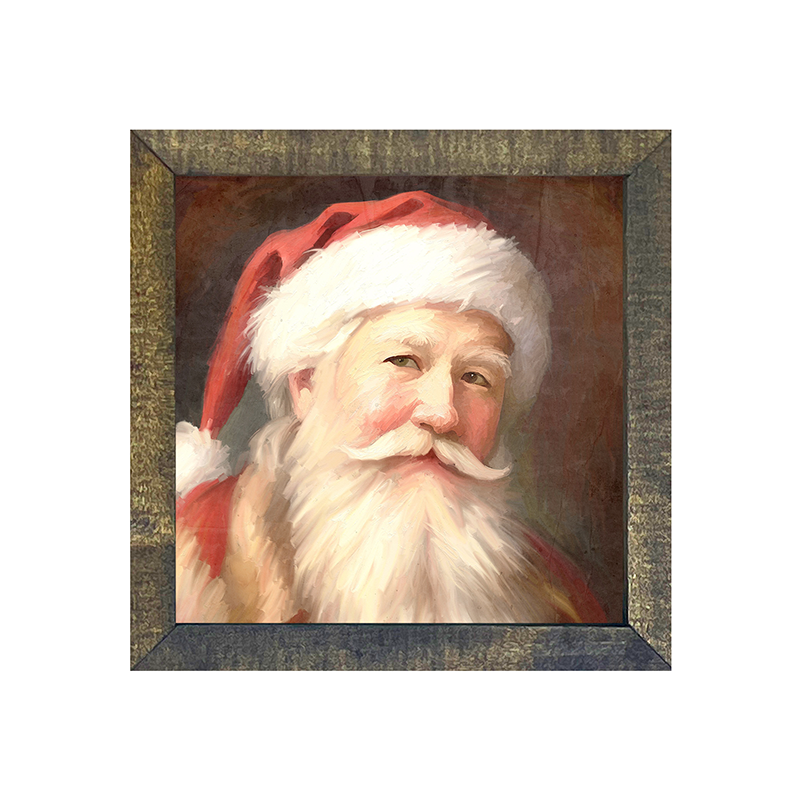 Santa portrait 13