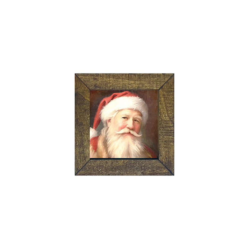 Santa portrait 13