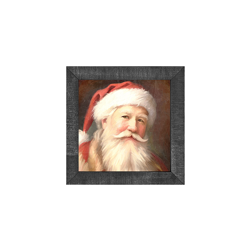Santa portrait 13
