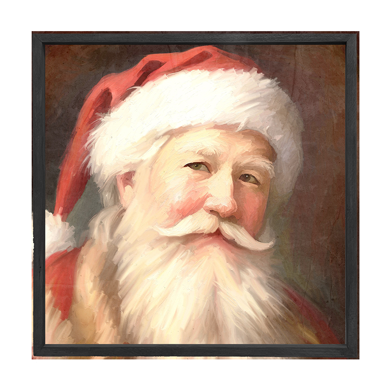 Santa portrait 13