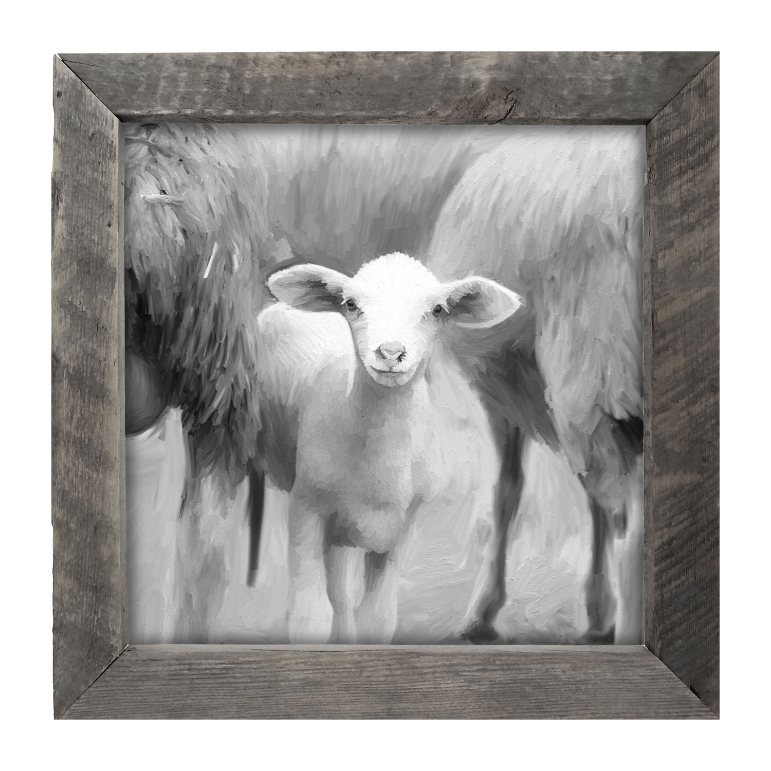 Little sheep - Black and white - Framed art