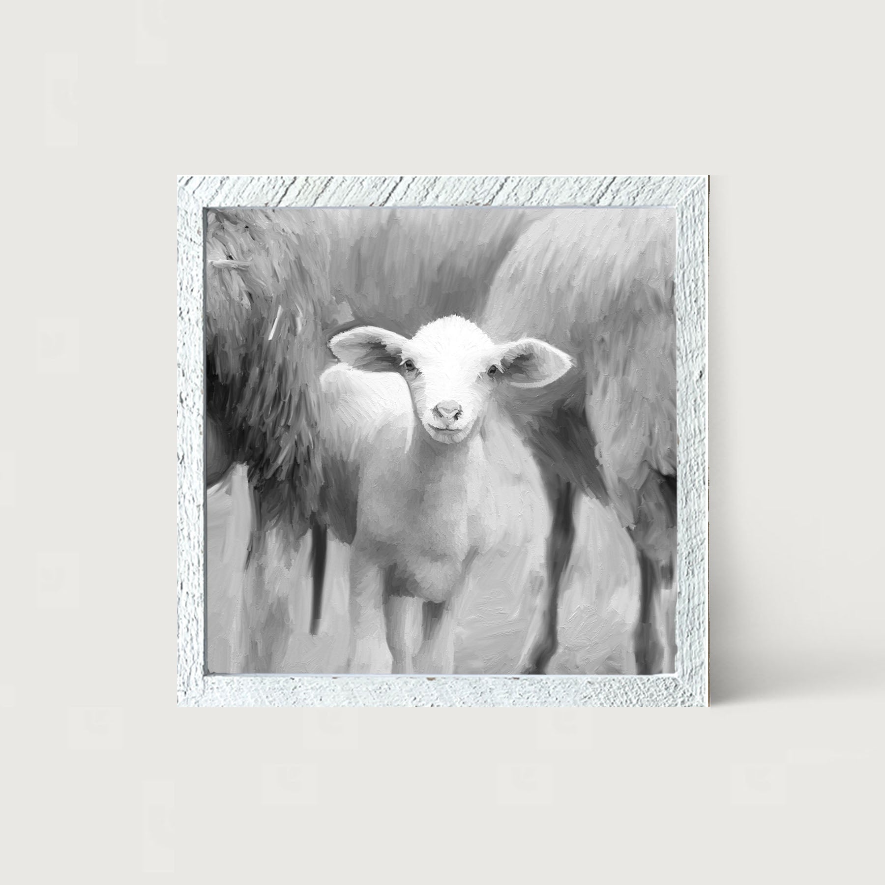 Little sheep - Black and white - Framed art