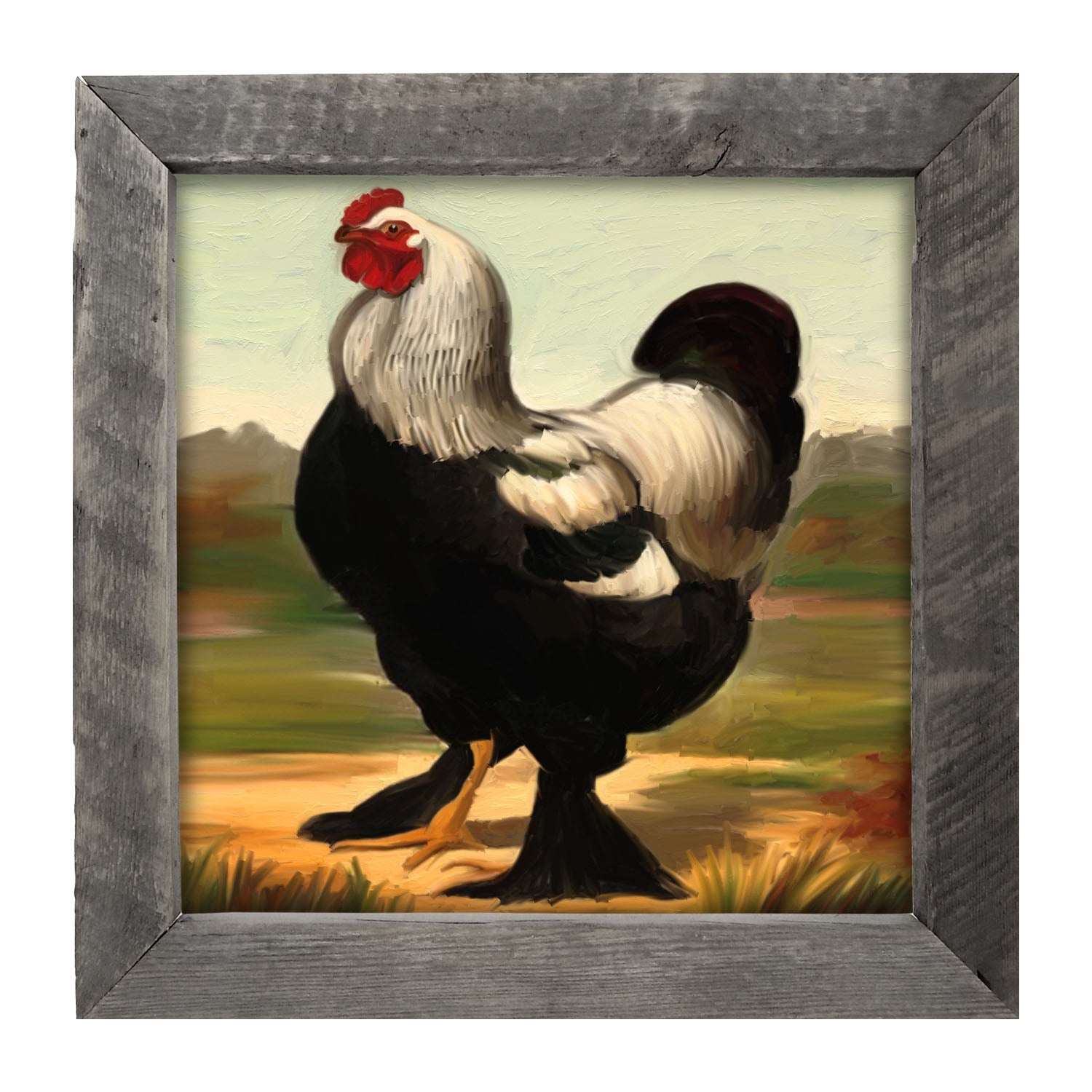 Black & White Rooster - Framed art