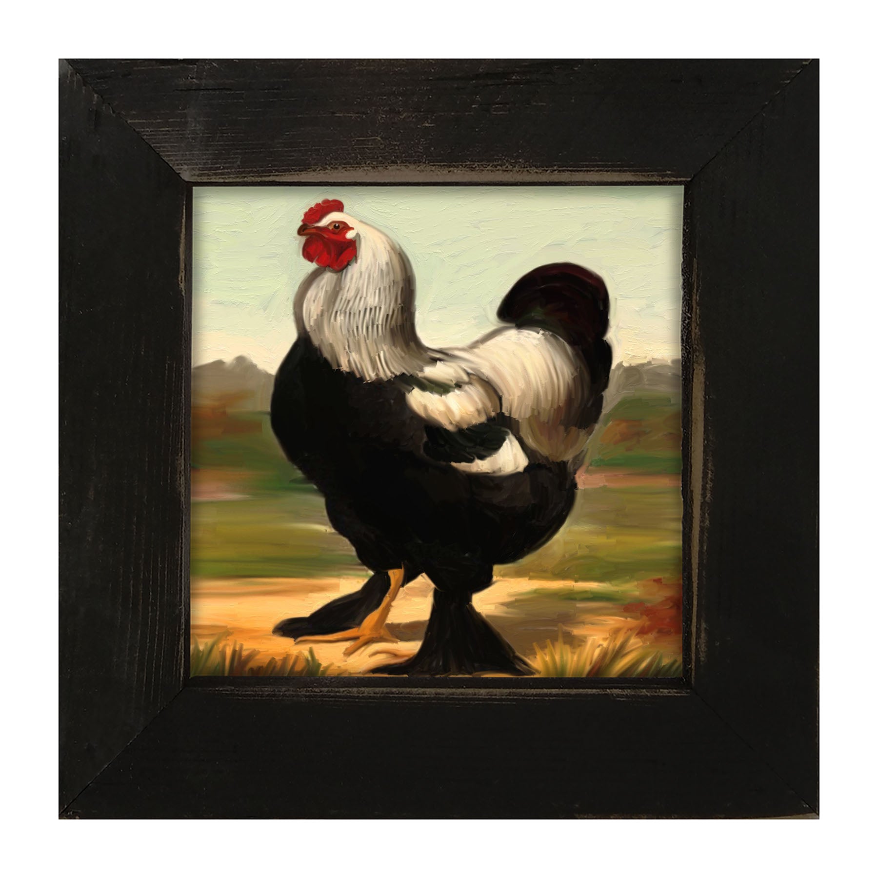 Black & White Rooster - Framed art