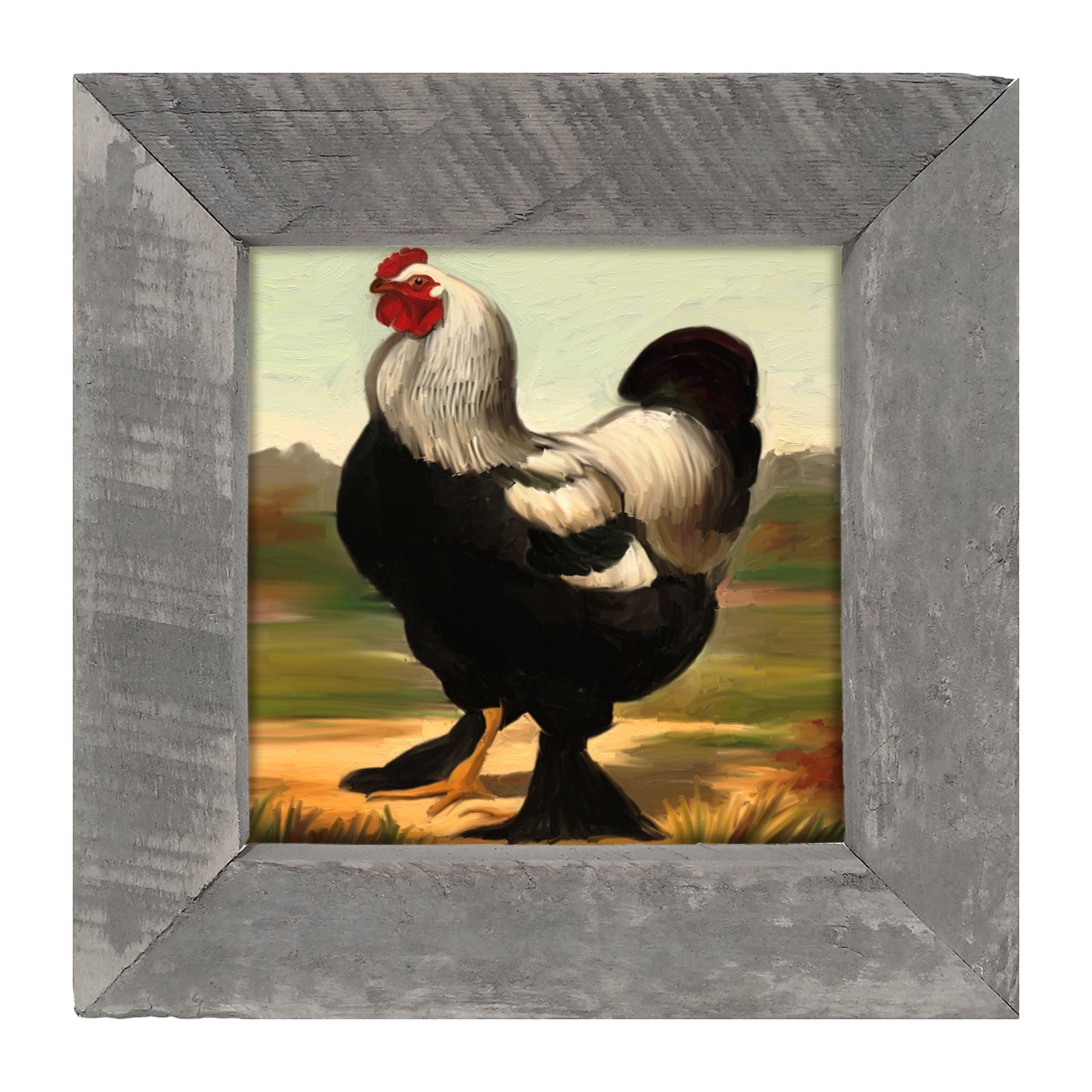 Black & White Rooster - Framed art