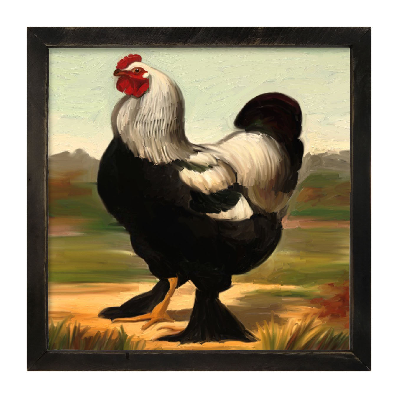 Black & White Rooster - Framed art