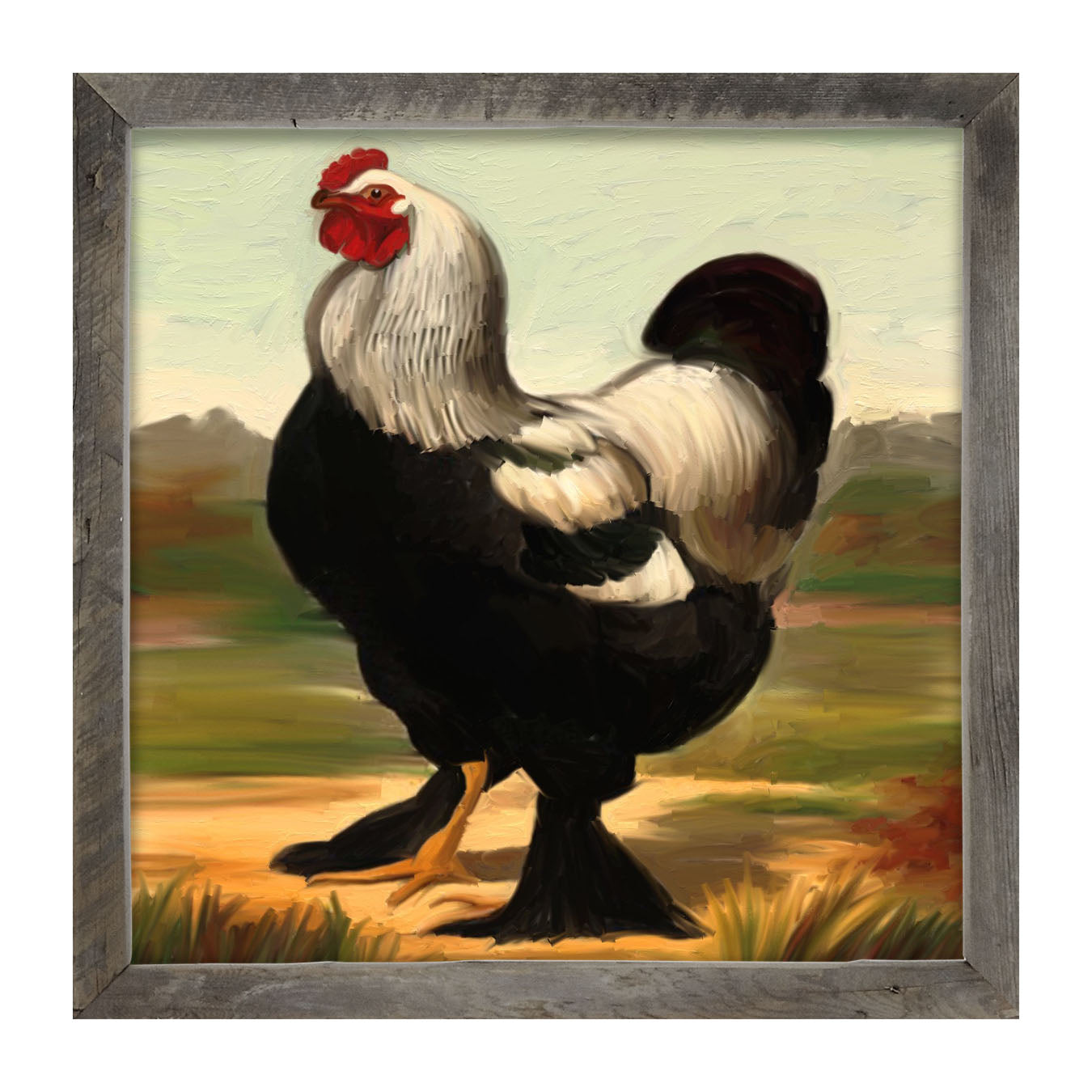 Black & White Rooster - Framed art