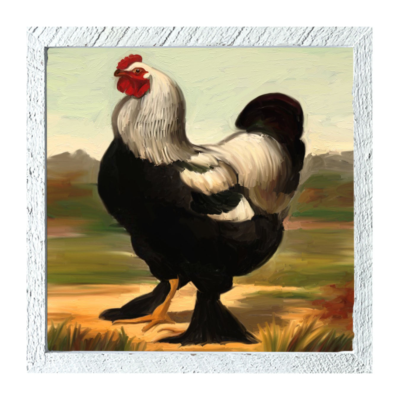 Black & White Rooster - Framed art