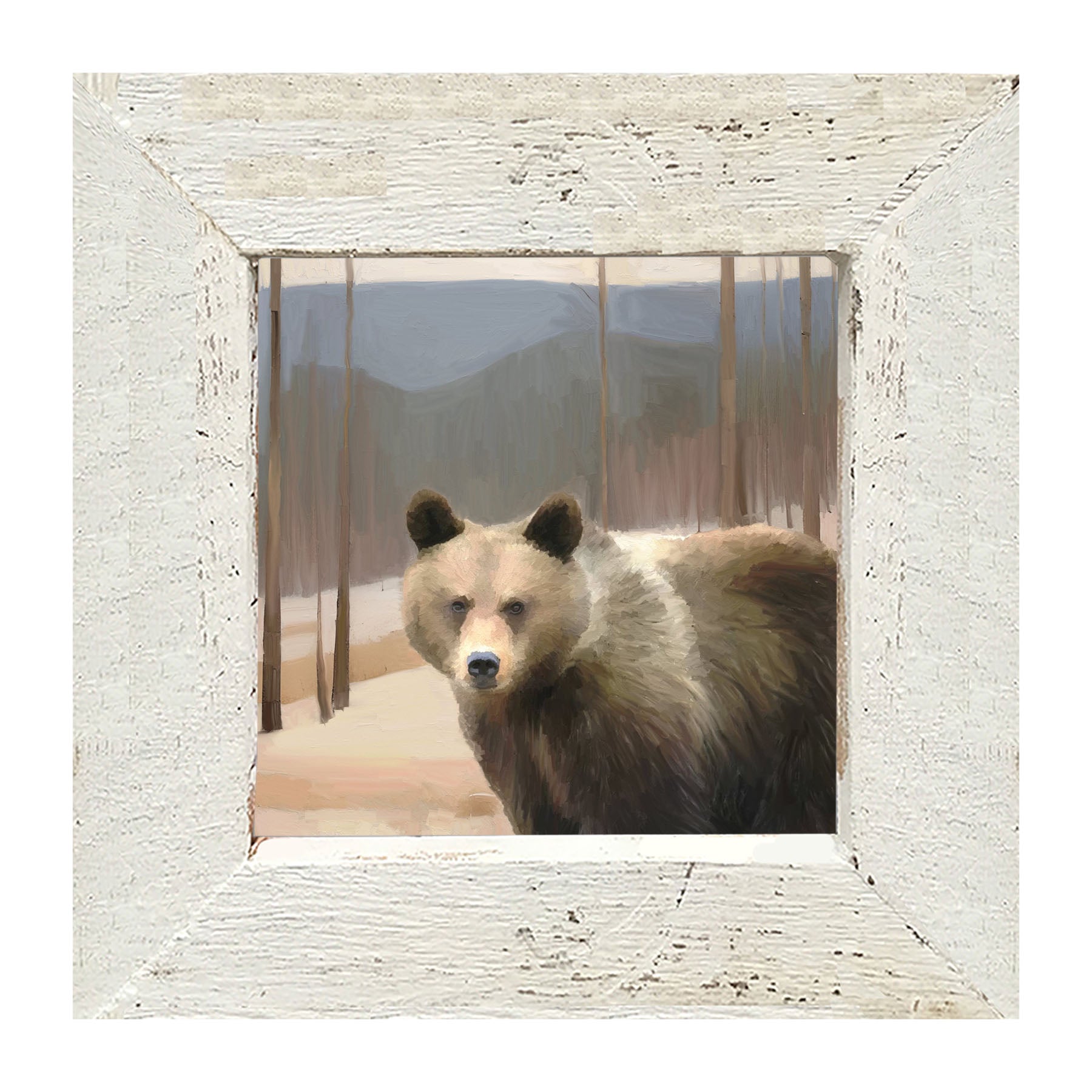 Brown Bear - Framed art
