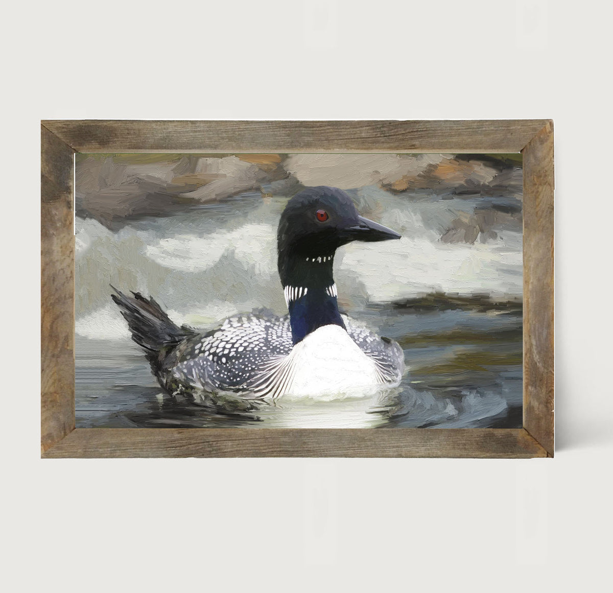 Loon in the Water
