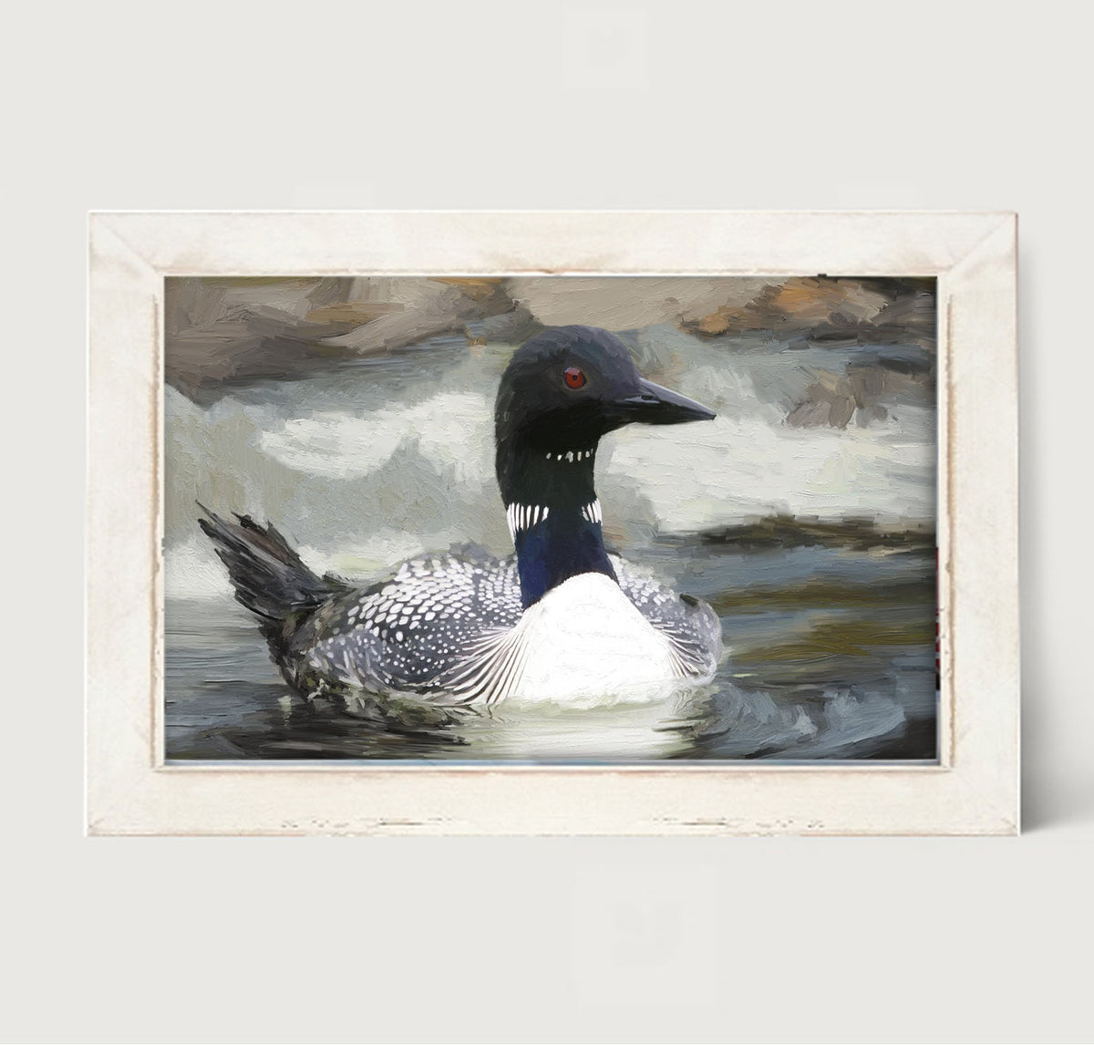 Loon in the Water