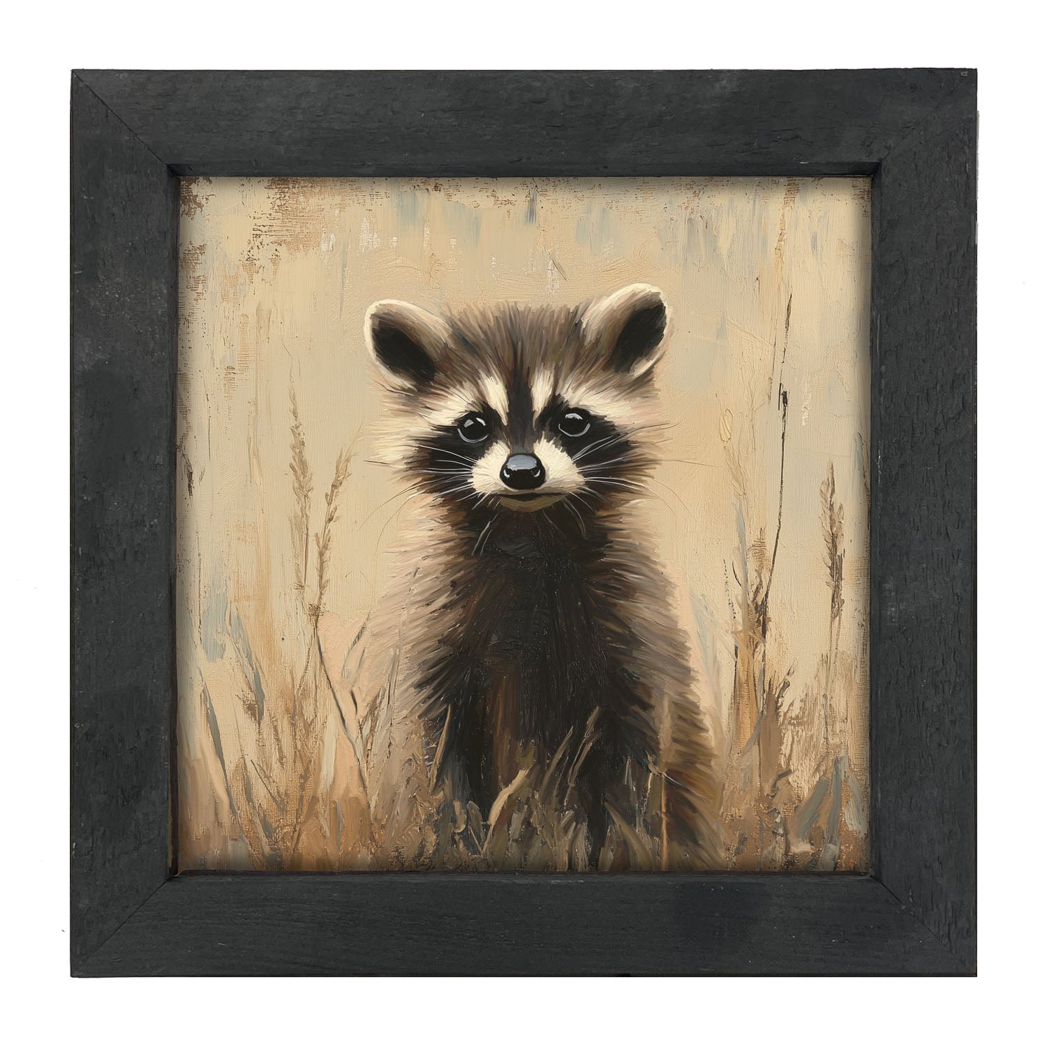 Baby Raccoon - Framed art