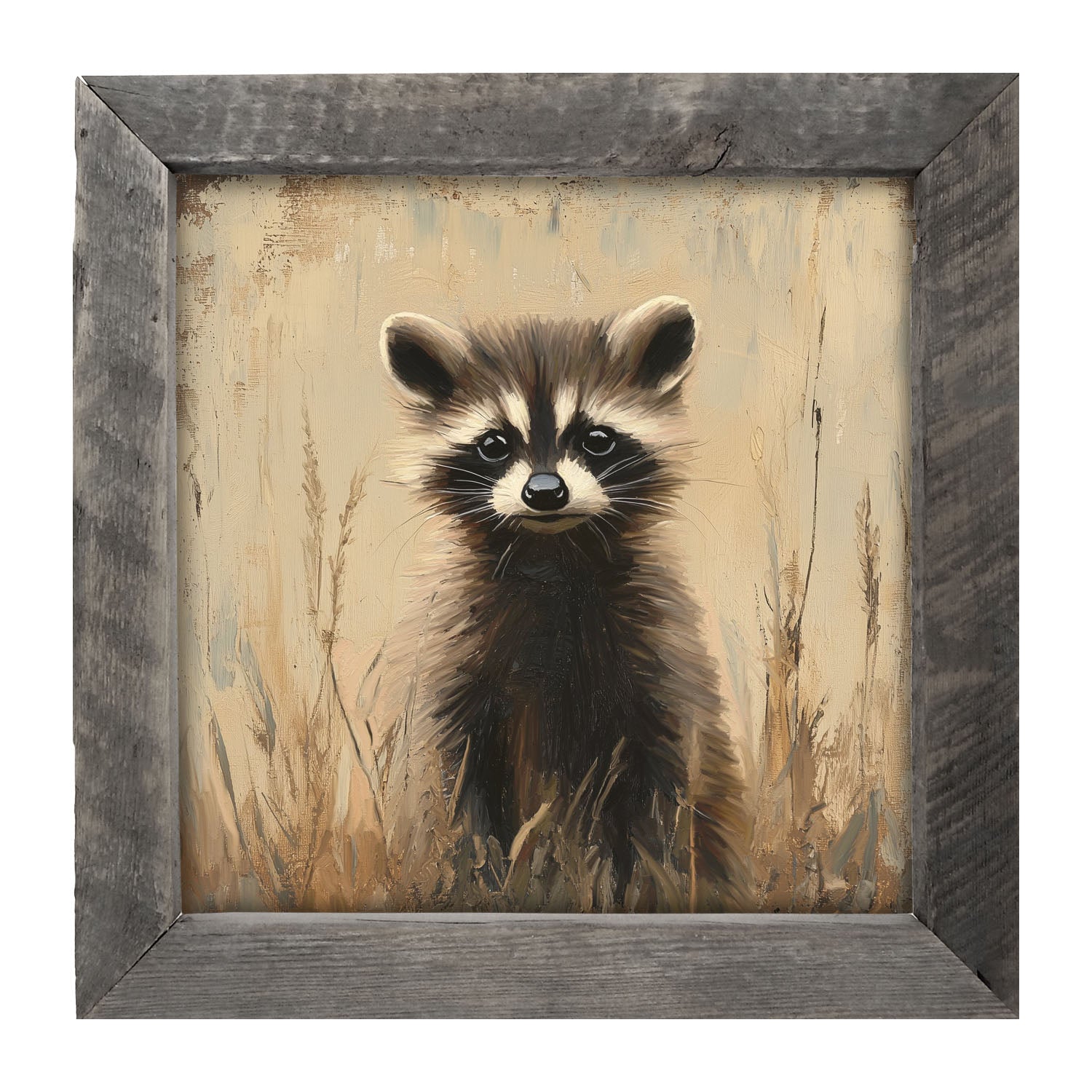 Baby Raccoon - Framed art