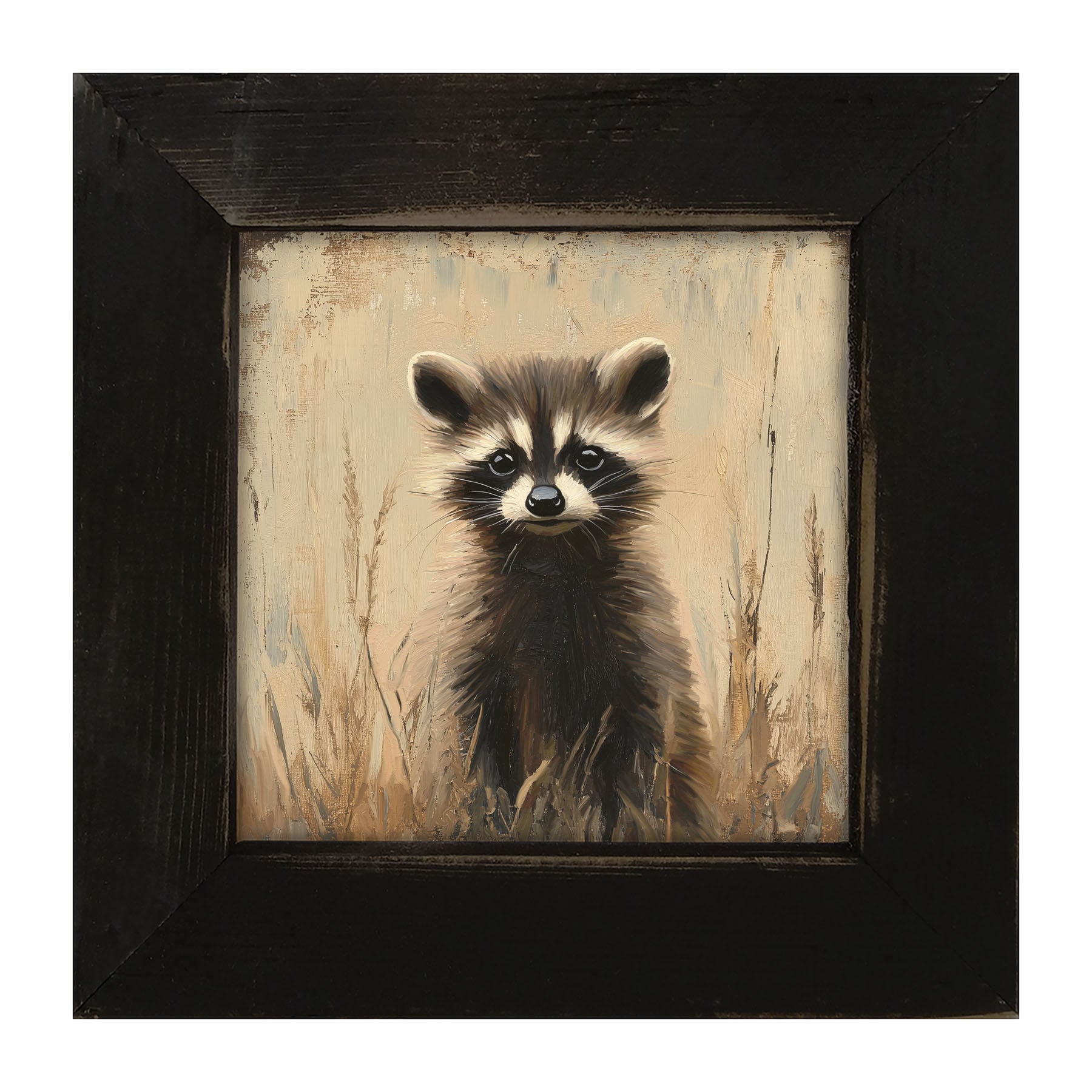 Baby Raccoon - Framed art