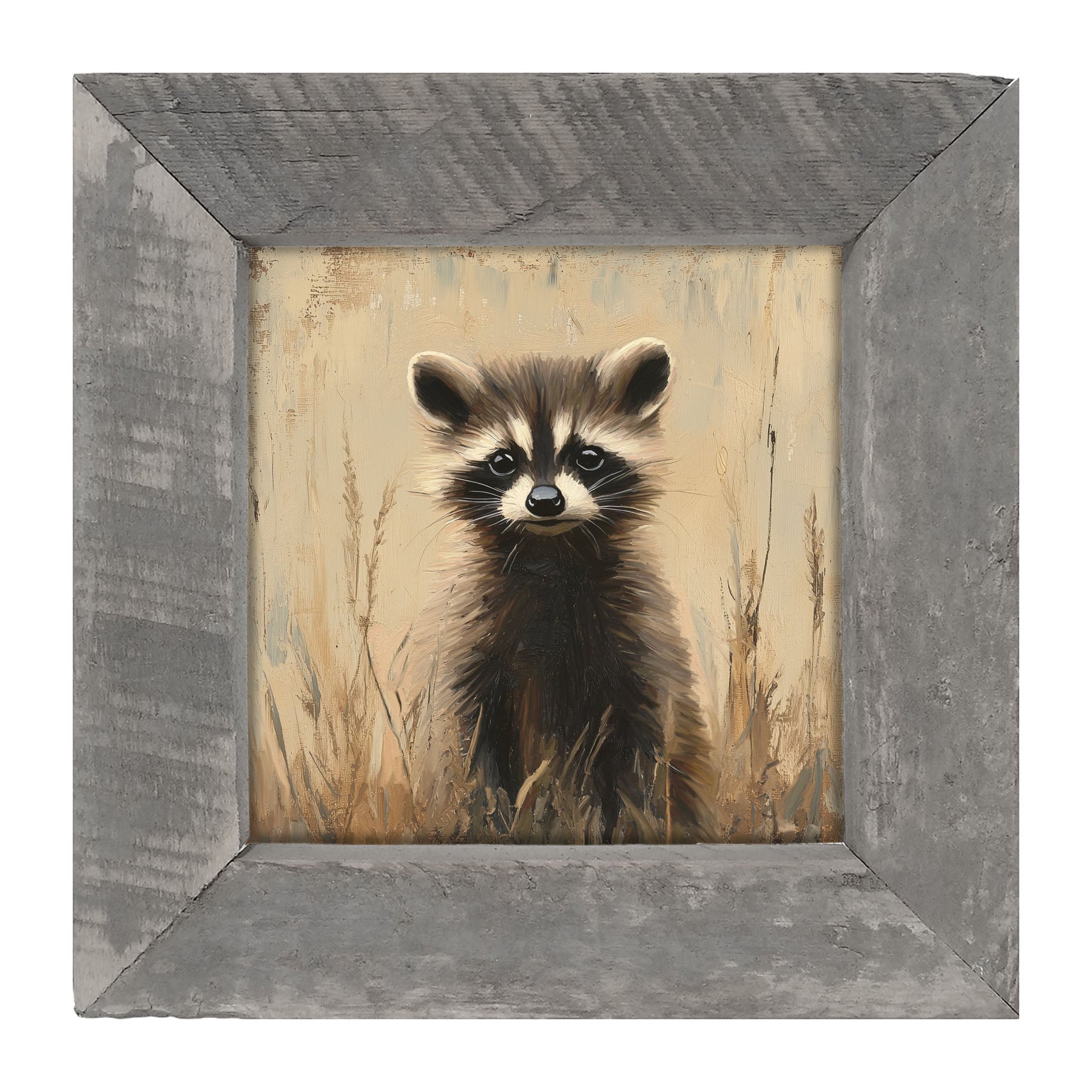 Baby Raccoon - Framed art