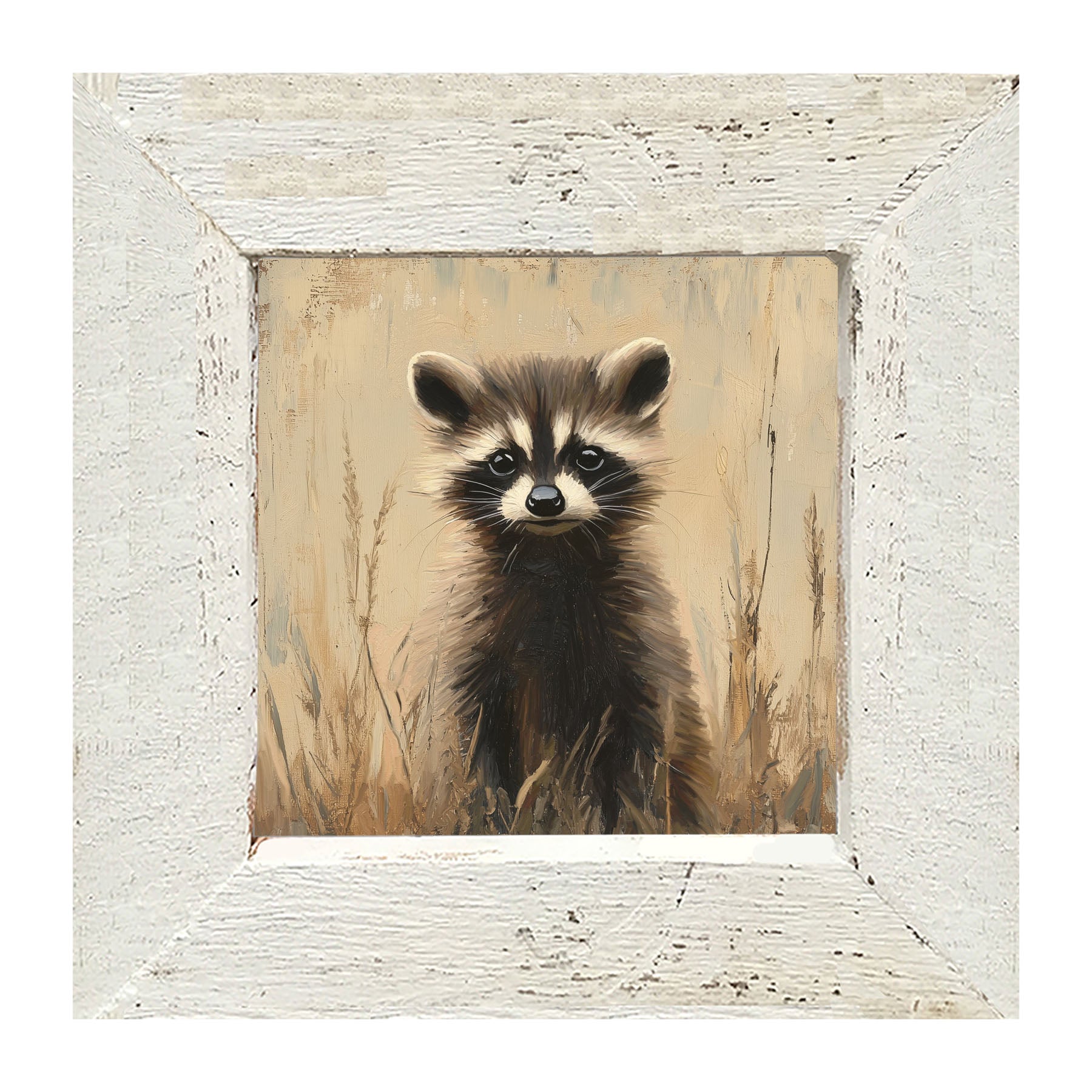 Baby Raccoon - Framed art