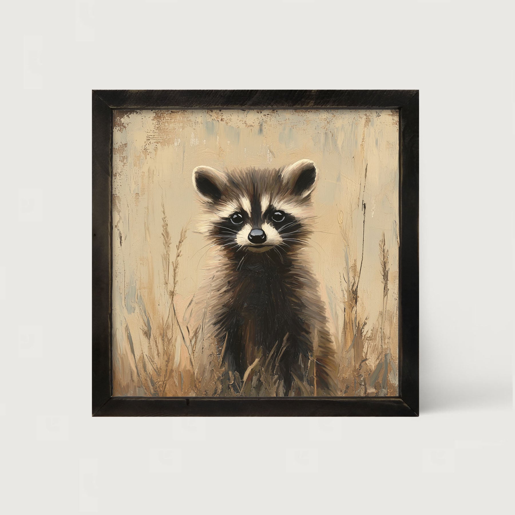 Baby Raccoon