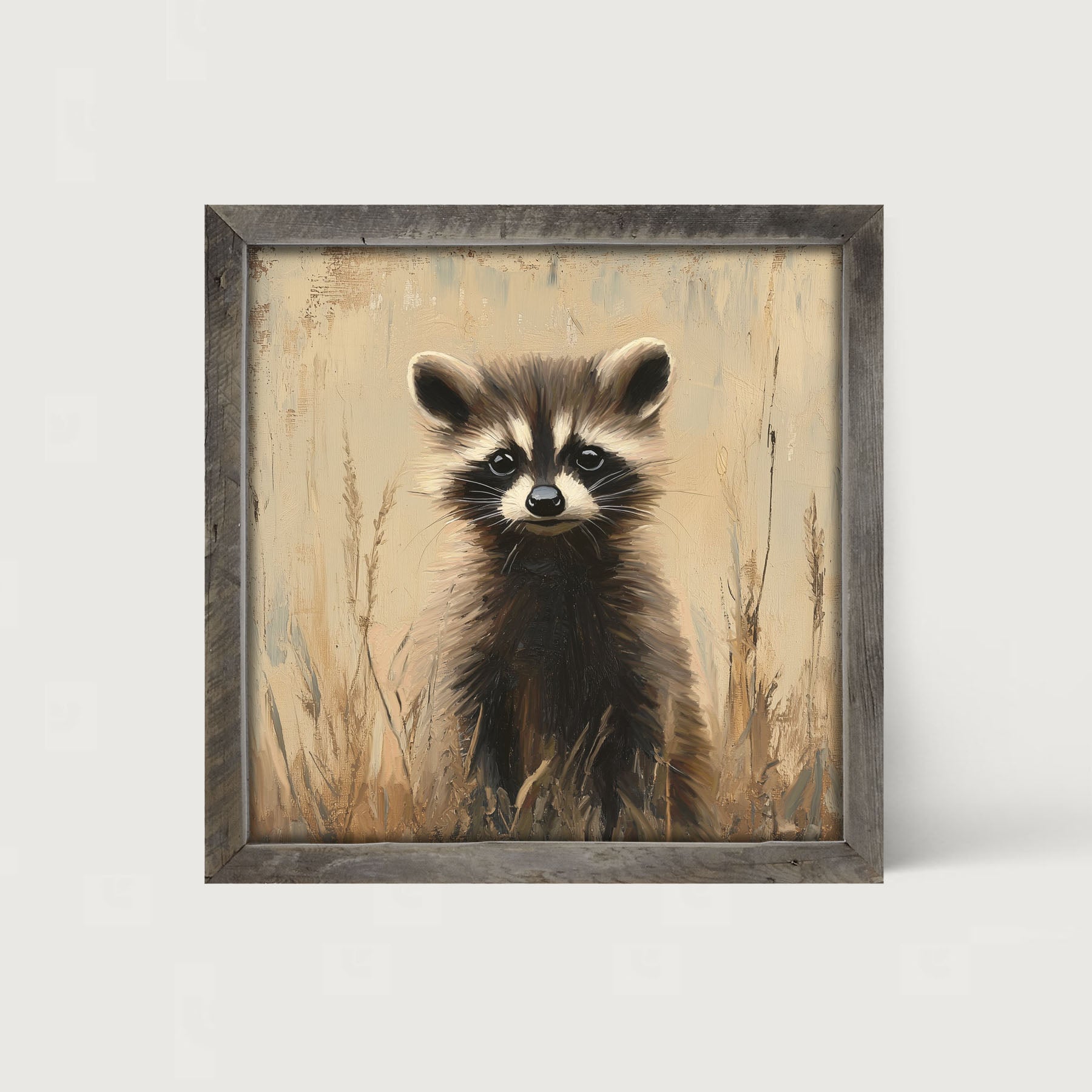 Baby Raccoon